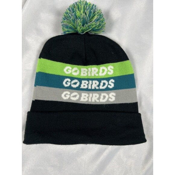 Philadelphia Eagles Go Birds Pom Pom Beanie - Picture 1 of 4
